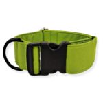 Collar para perros Green