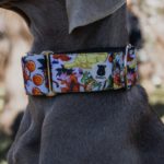 Collar Martingale para perros "Súper Saiyan"