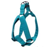 Arnes para perro «Full Color turquesa»