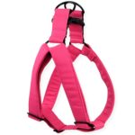 Arnés para perro «Full Color fucsia»