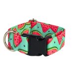 Collar para perro "Sandia Fresca"